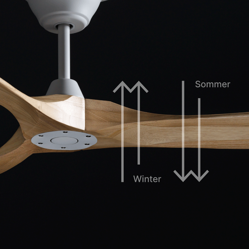 Sommer-/Wintermodus Ventilator